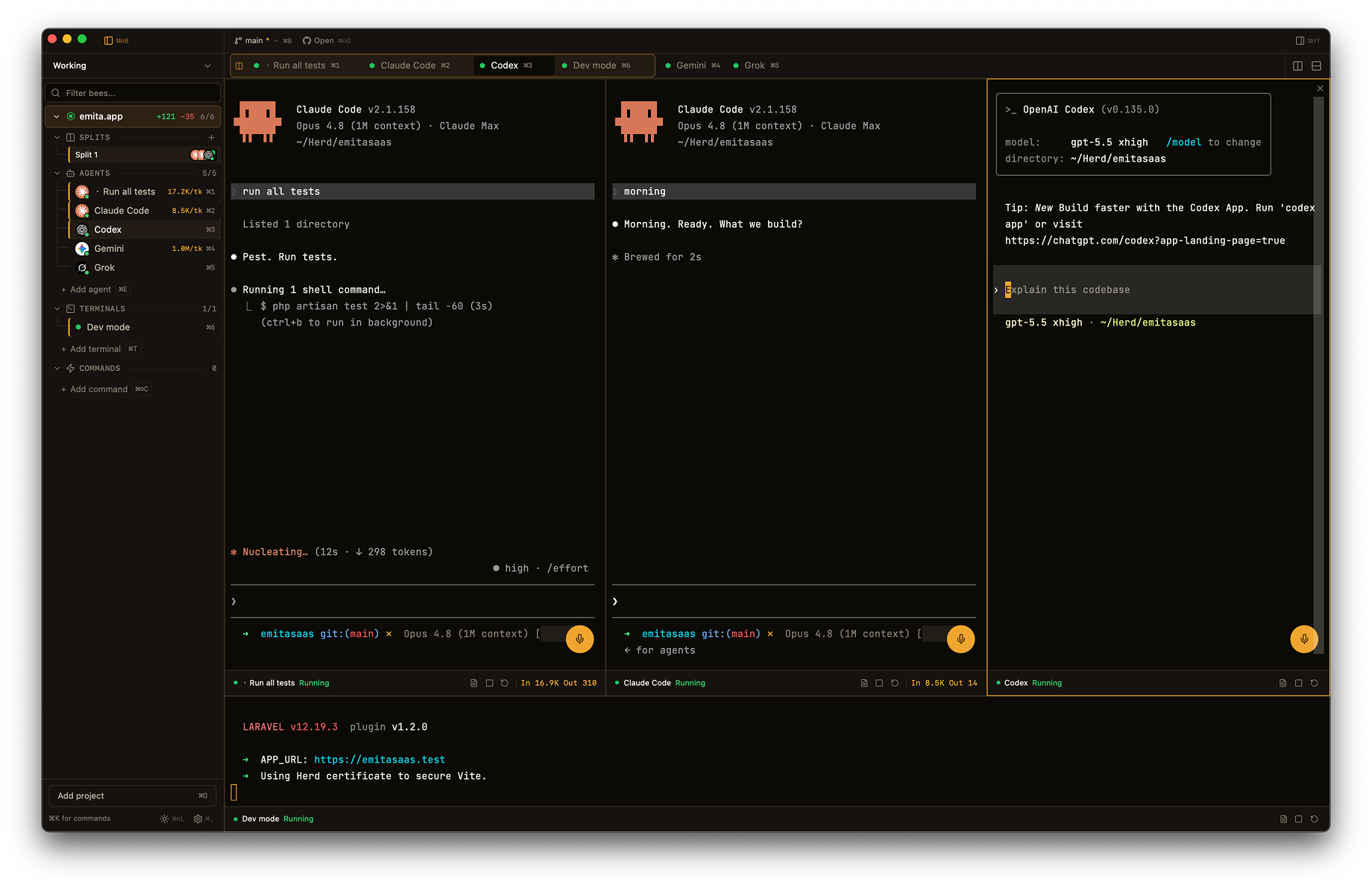 Split panes de HiveTerm — Claude Code, Codex y un servidor lado a lado en una ventana